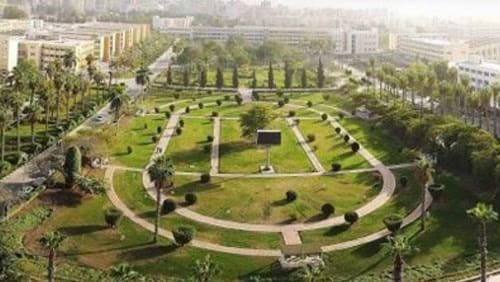 جامعة المنصورة تستقبل وفداً من "القيروان التونسية"