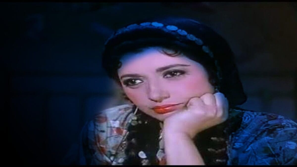 الفنانة نبيلة عبيد