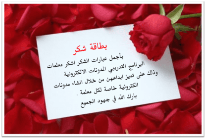 صورة 2