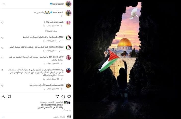 نجوم الفن يدعمون فلسطين ويدعون لجمع تبرعات للمساعدة في وقف العدوان 