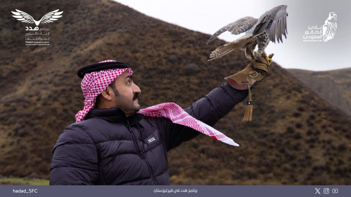 نادي الصقور السعودي ينفذ المرحلة الأولى للإطلاق الخارجي في قرغيزستان